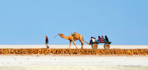 Rann of Kutch mumbai pune adventures